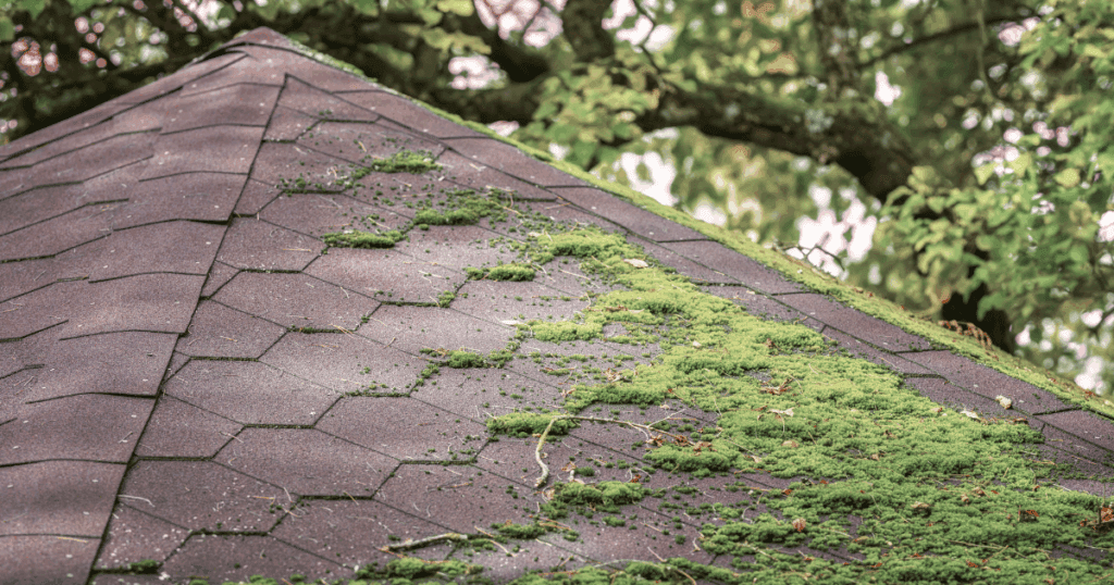 Preventative Roof Maintenance