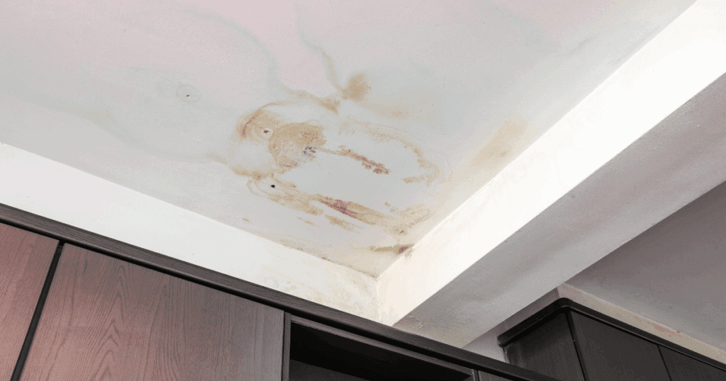 Leaking Roof Signs