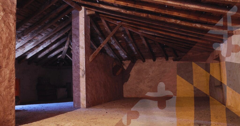 Dark, unfinished attic space showing structural wooden framing and potential signs of moisture intrusion.