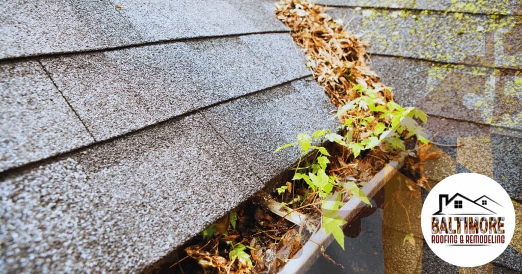 Close-up view of a roof gutter filled with dead leaves and new plant growth, indicating a severe drainage blockage.