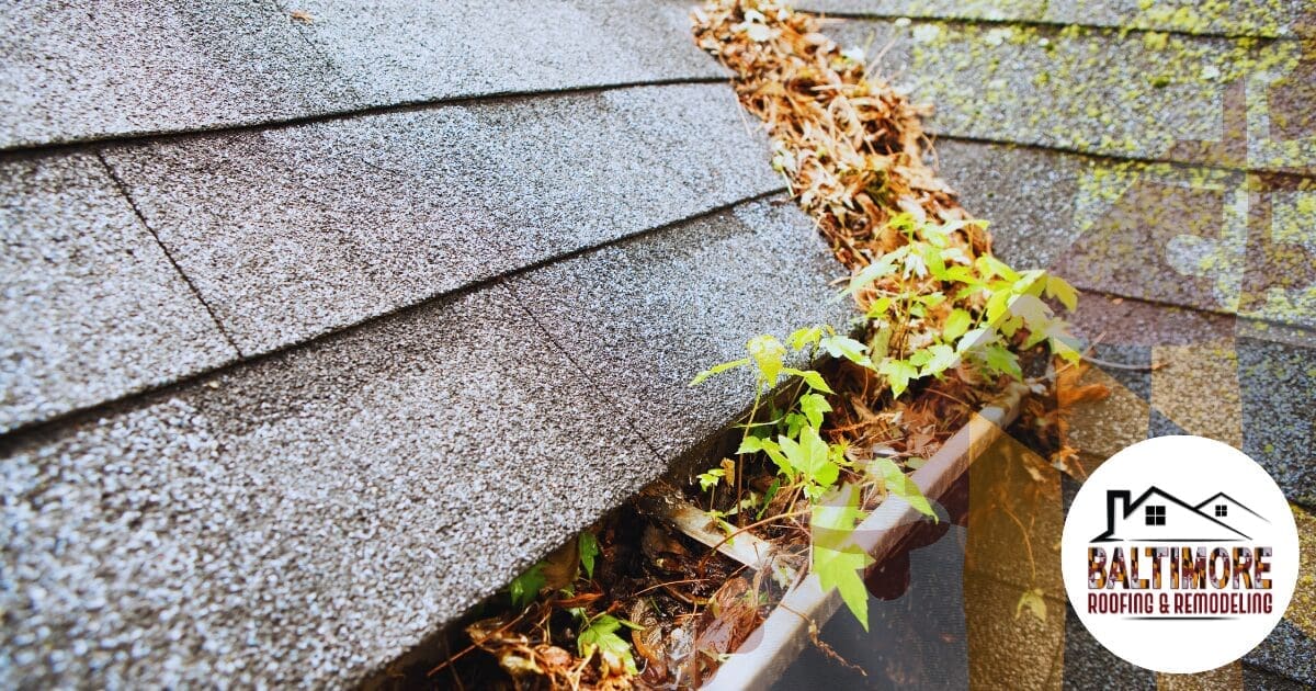 Close-up view of a roof gutter filled with dead leaves and new plant growth, indicating a severe drainage blockage.